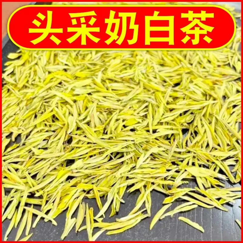 2025新茶【熊猫奶白茶】奶香花香鲜甜鲜爽绿茶叶黄金芽罐装礼盒装