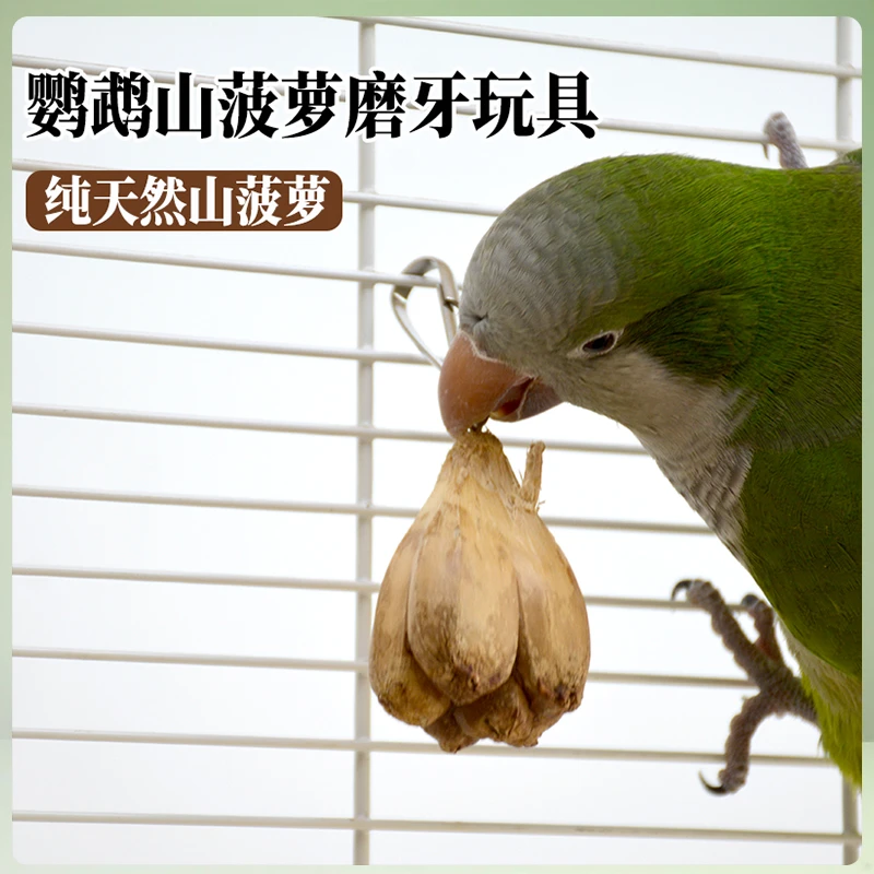 鹦鹉山菠萝啃咬玩具解闷自嗨玄凤虎皮牡丹磨嘴磨牙鸟玩具鸟笼装饰