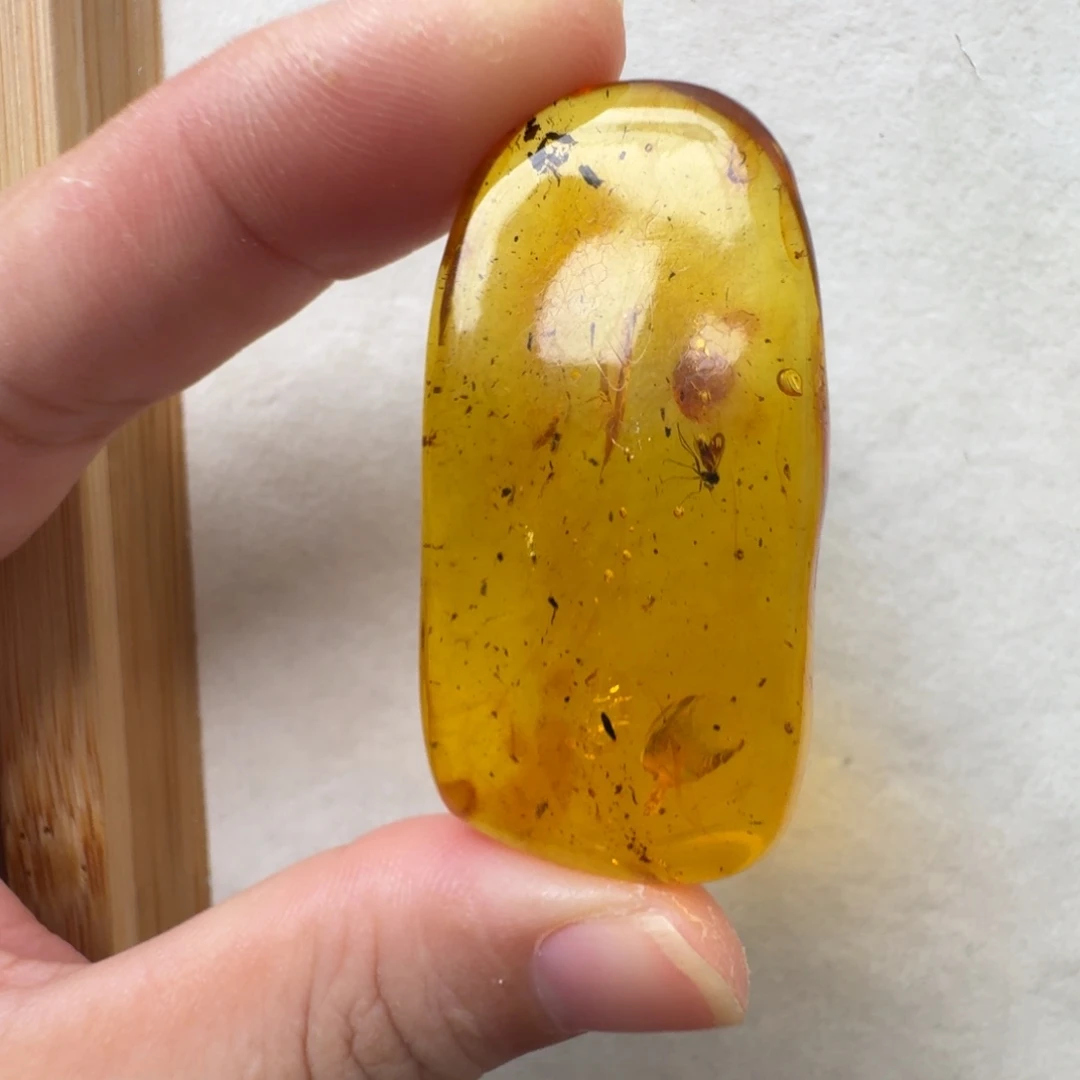 虫珀未镶嵌珠宝奇石超过七天不退不换