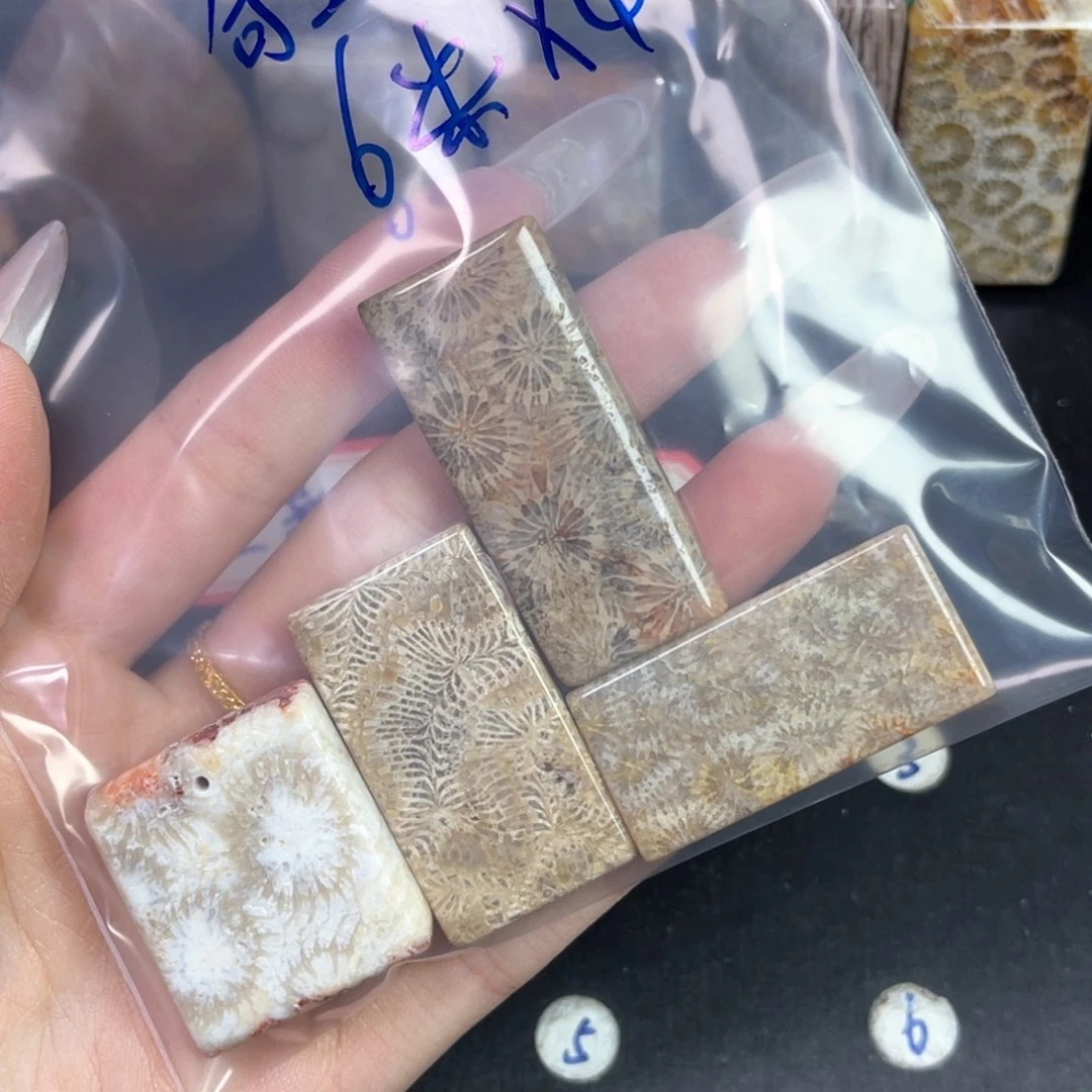 硅化珊瑚（珊瑚玉）未镶嵌吊坠