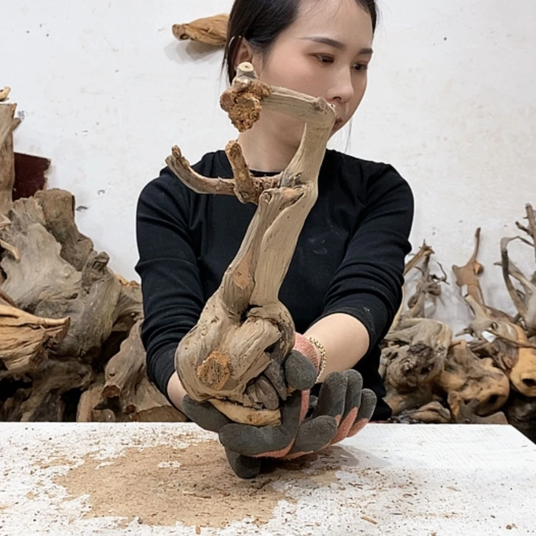 【闪购商品】柏木熟****?我们都是好孩子