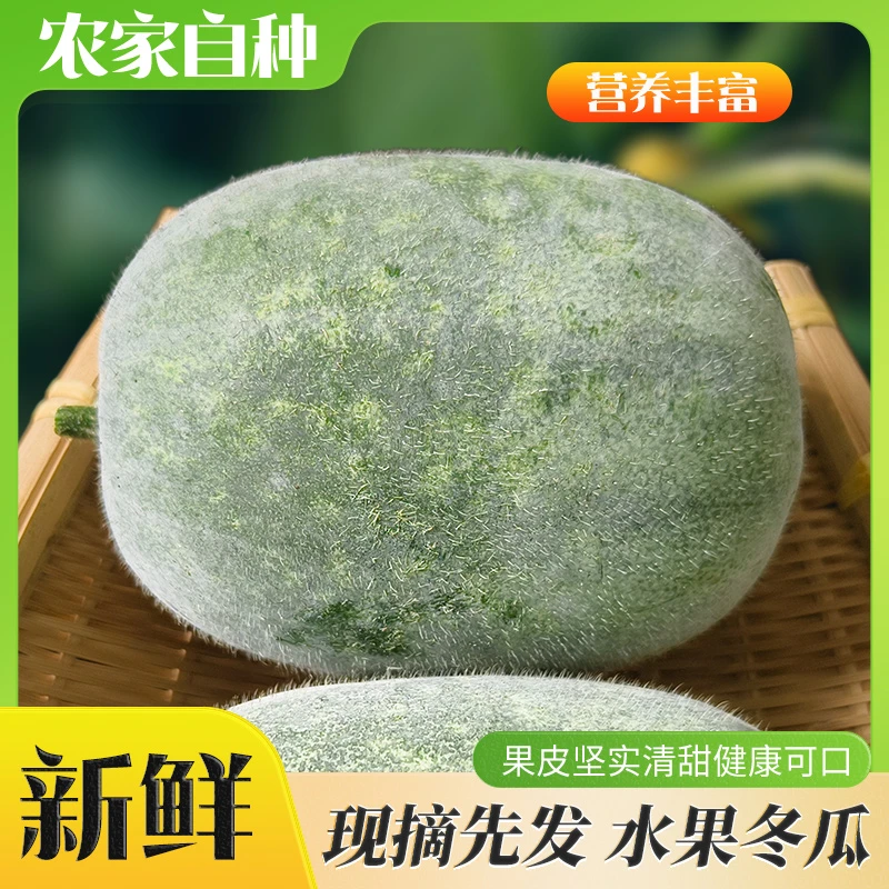 元气清甜湖北当地新鲜嫩冬瓜清甜可口当季时令蔬菜