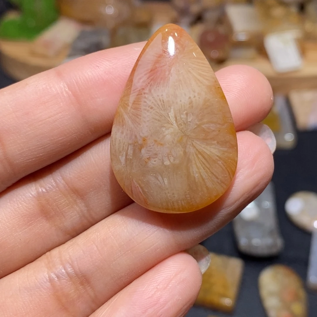 【闪购商品】硅化玉颈饰未镶嵌