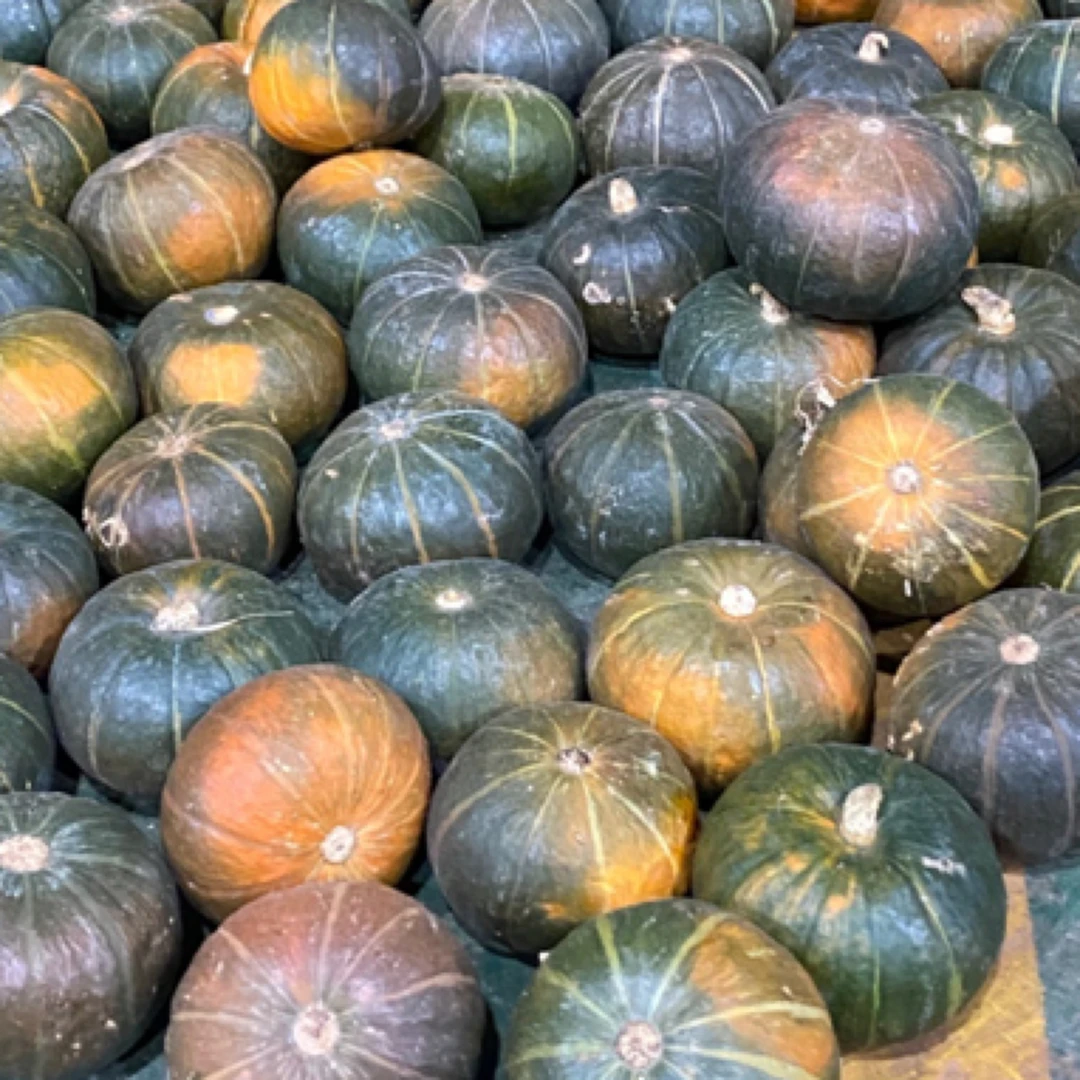 （小丫家）云南高原七彩香蜜小南瓜露天自然成熟香甜扁圆南瓜宝辅食