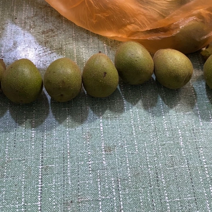 文玩核桃吊坠小*鸽福利