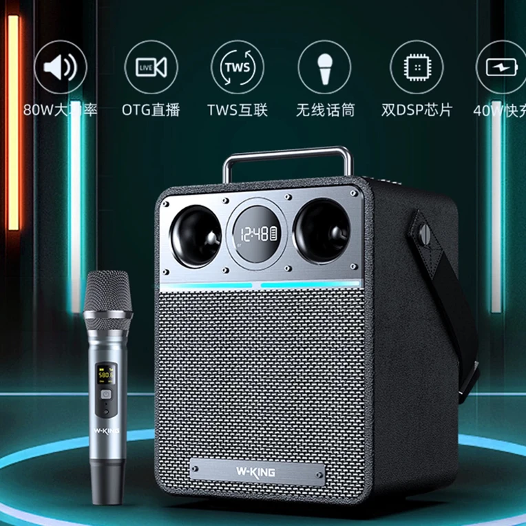 维尔晶手提斜挎便携K歌乐器萨克斯二胡箫唱歌音响直播内录音箱