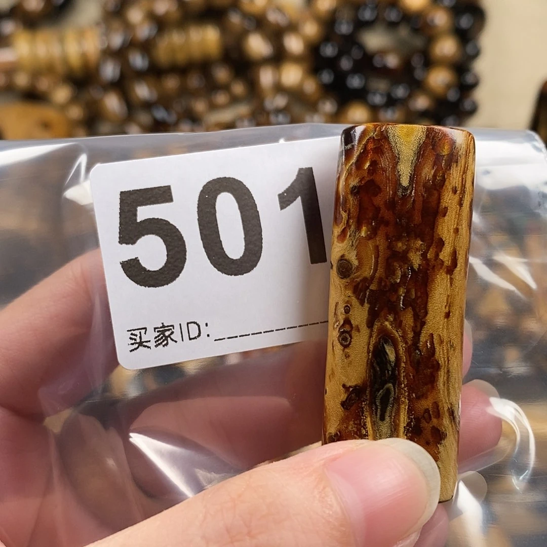 珊***羽香榧木海小柳，血柳，有机宝石，