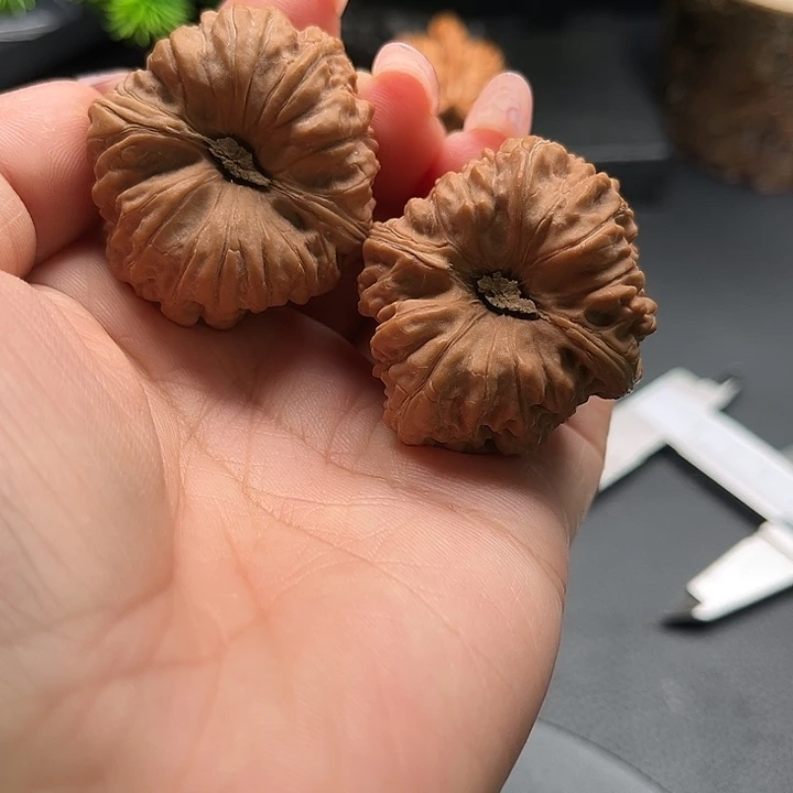 核桃37平谷凹底全品