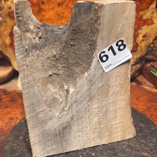 大果紫檀（缅甸花梨）