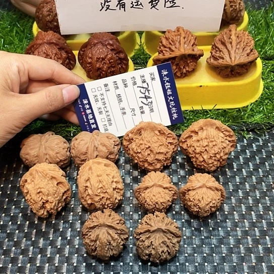 桃核把件核桃大礼包5对7543