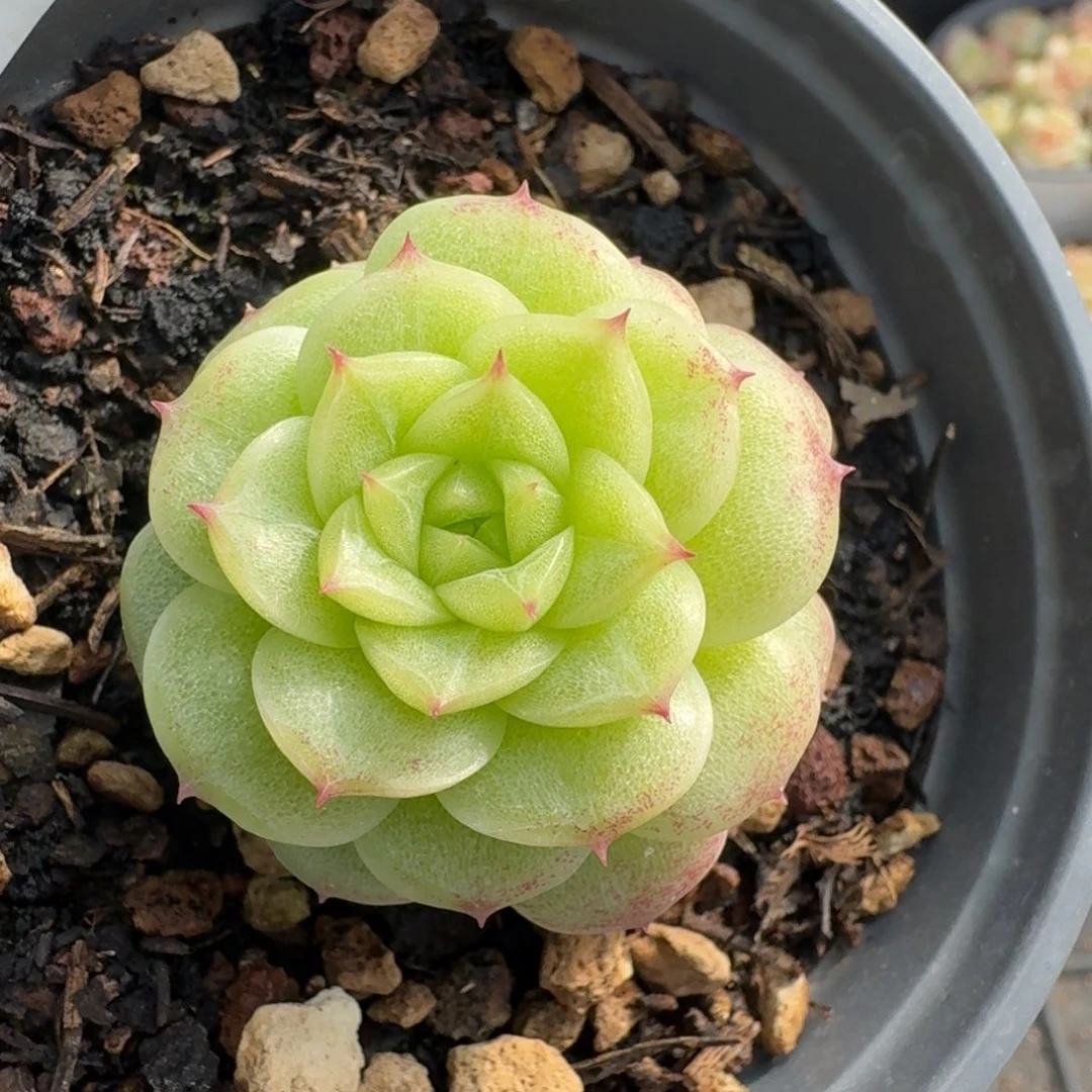 一物一拍一物一拍12-14-380