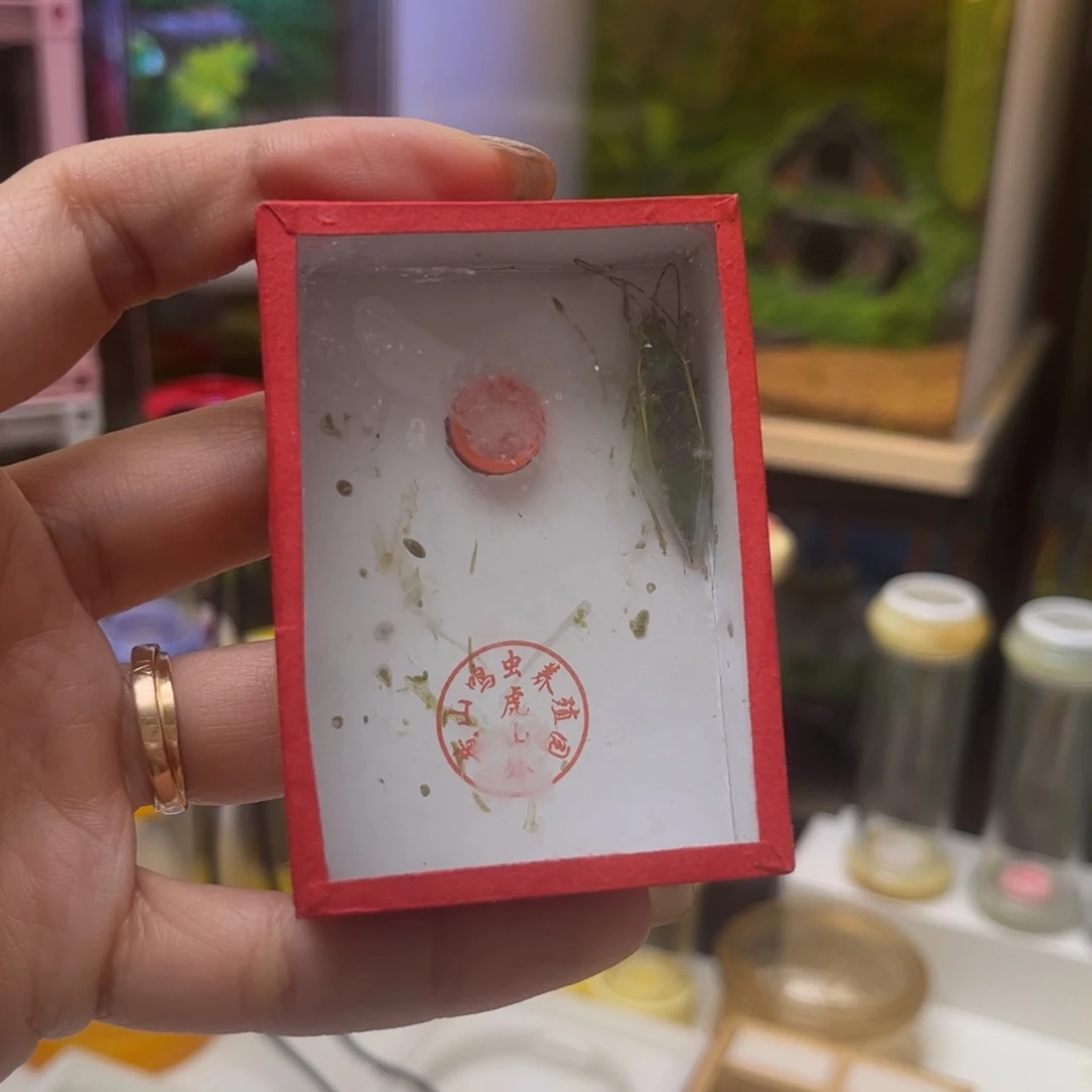手***2金钟拍拍拍拍拍拍