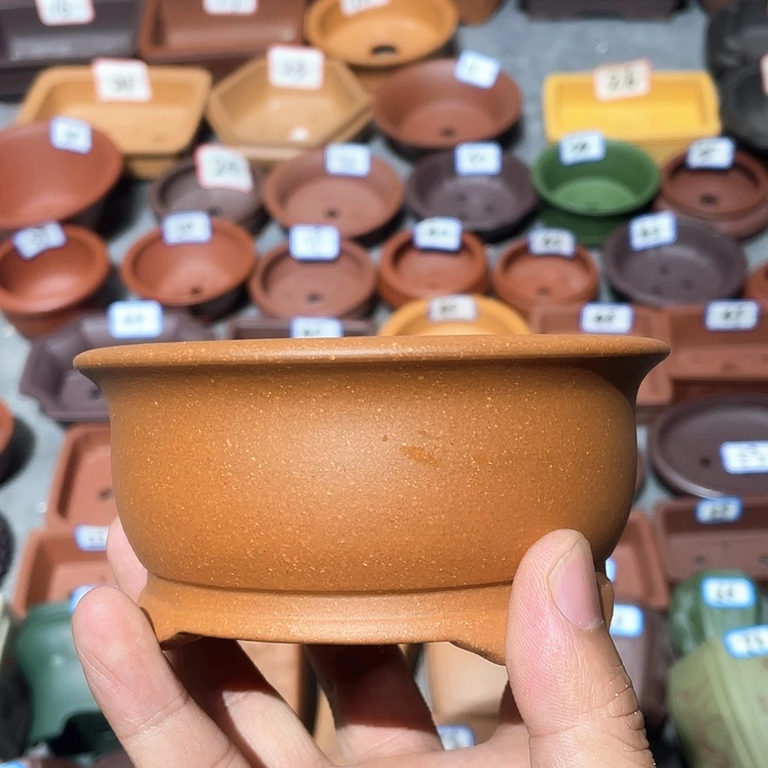 紫砂小盆9*4.5cmmm