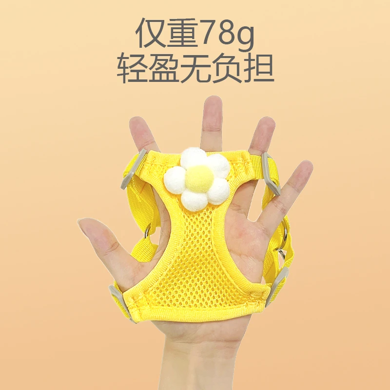 网面透气小狗狗牵引绳胸背带防挣脱夏季凉外出遛狗绳子幼猫绳狗链