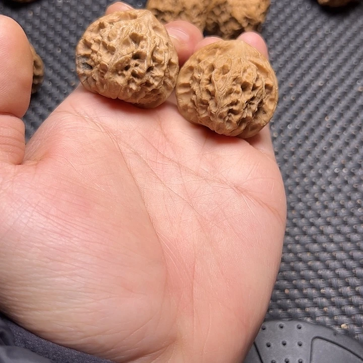 文玩核桃吊坠野生