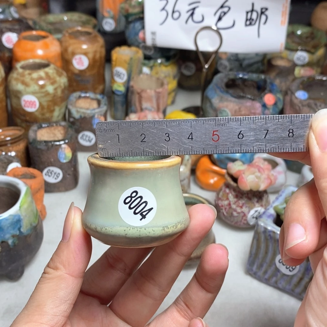 拍5送一个小礼物