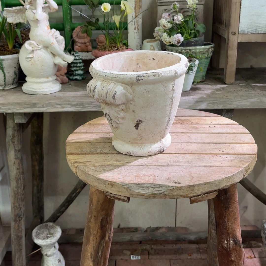 许纯的复古白色 奖杯38