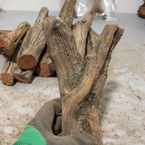 大果紫檀（缅甸花梨）?****走