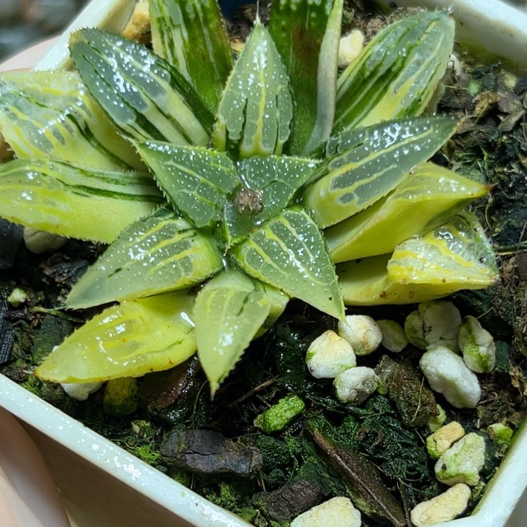 恭喜发财大吉大利0400