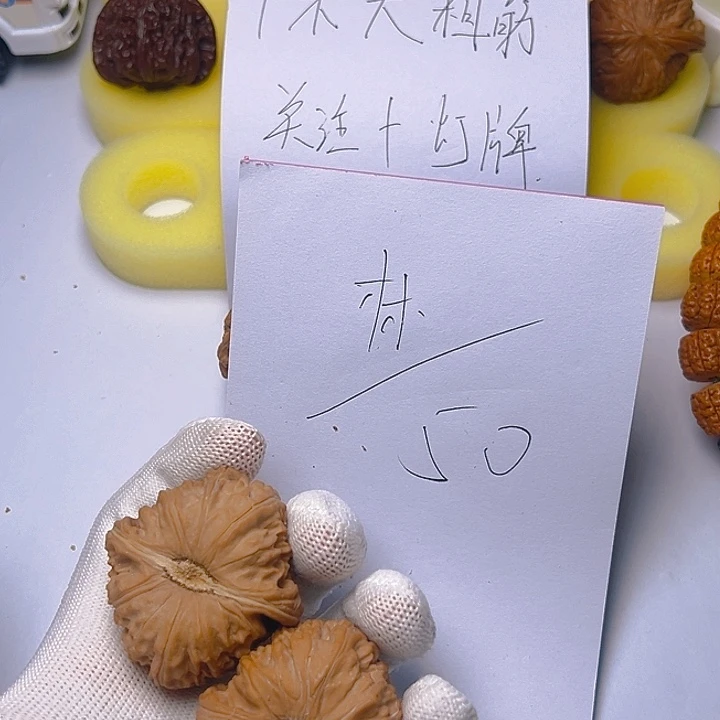 大叶紫檀（黑酸枝木类）林**涛