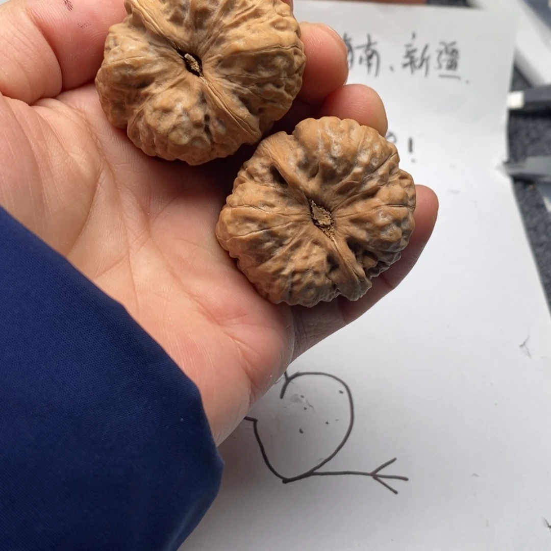 一***,好的我真的是太喜欢了一