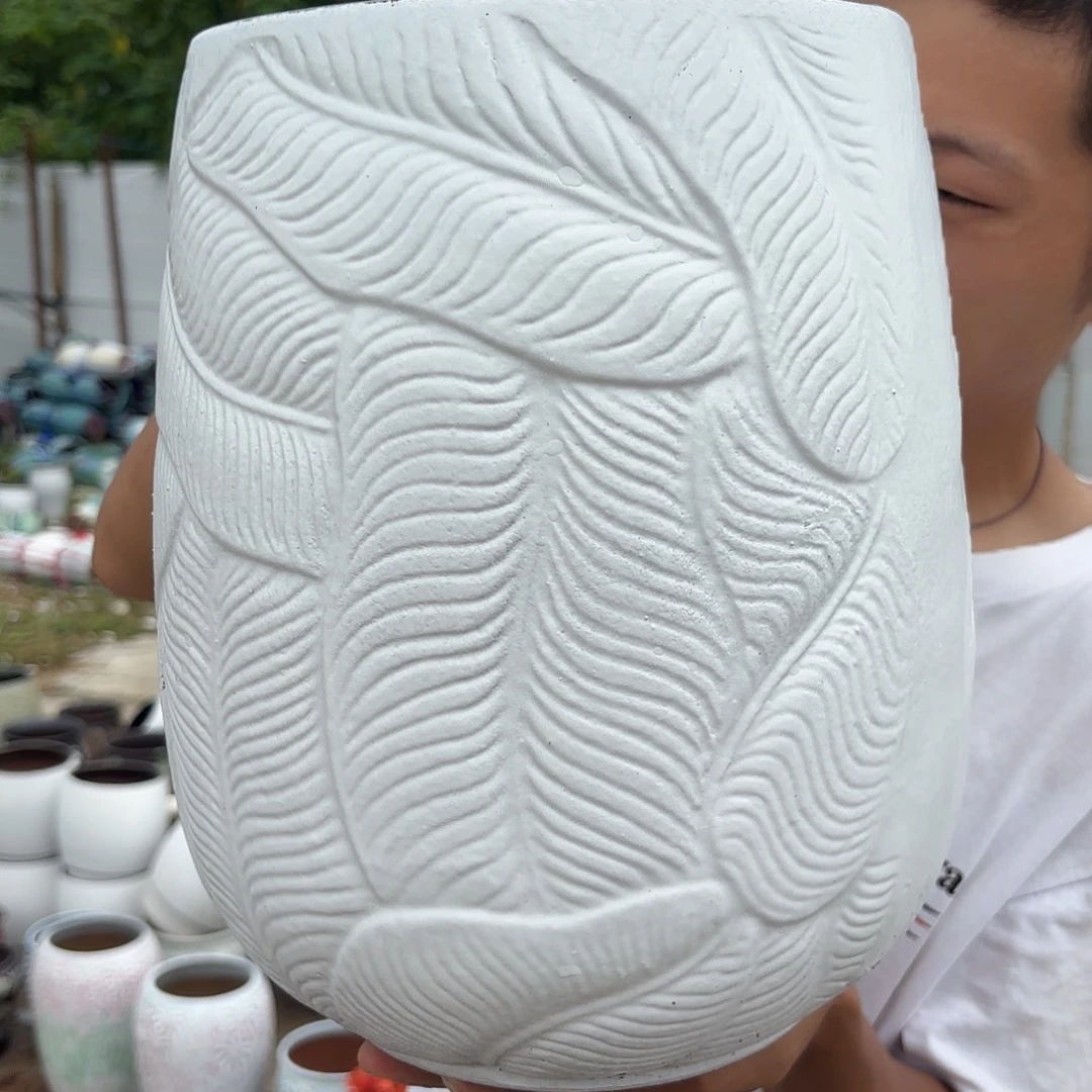 白芭蕉叶口径20。31