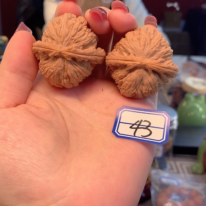 木质类白狮子41尺寸