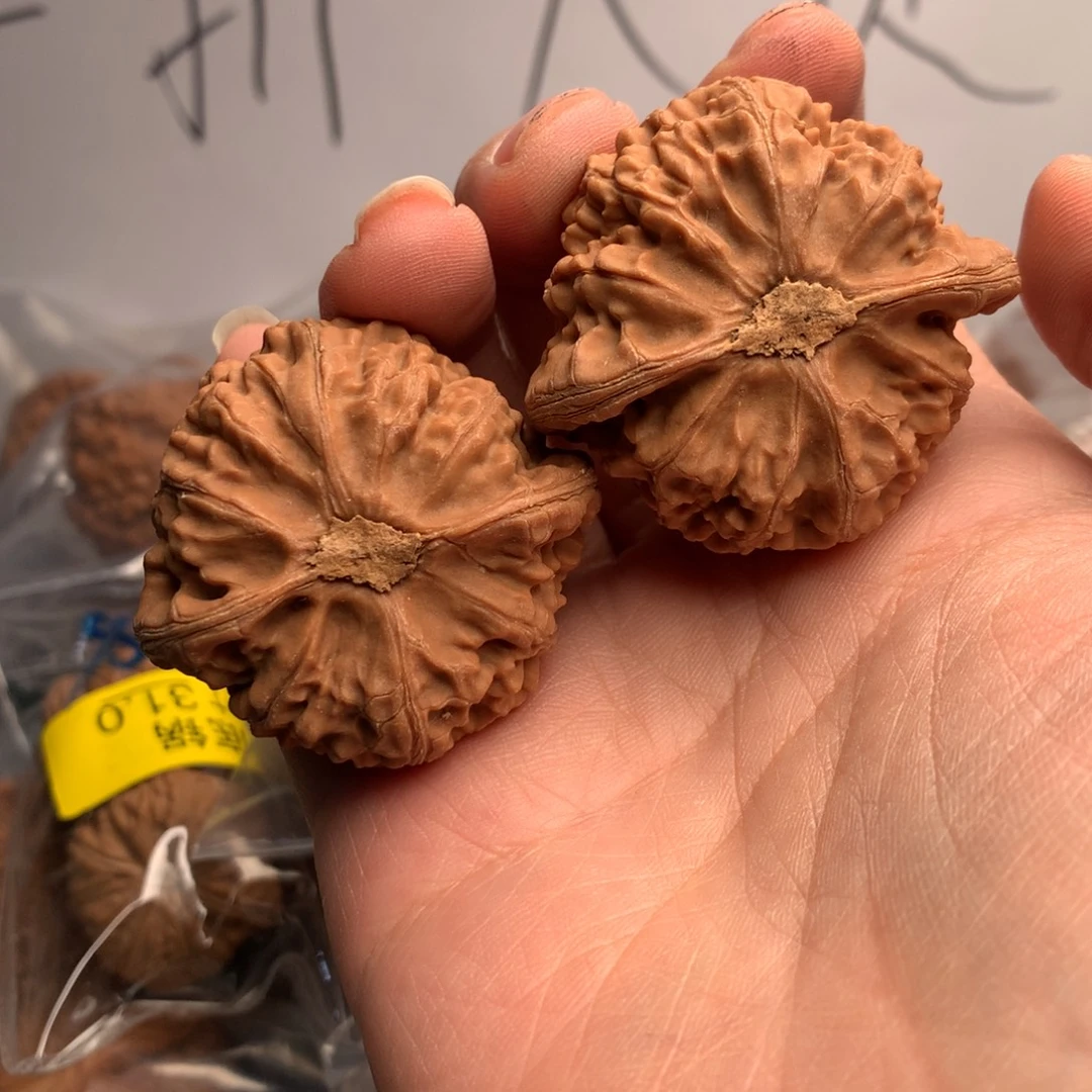 F***k宫灯44年来最多用的