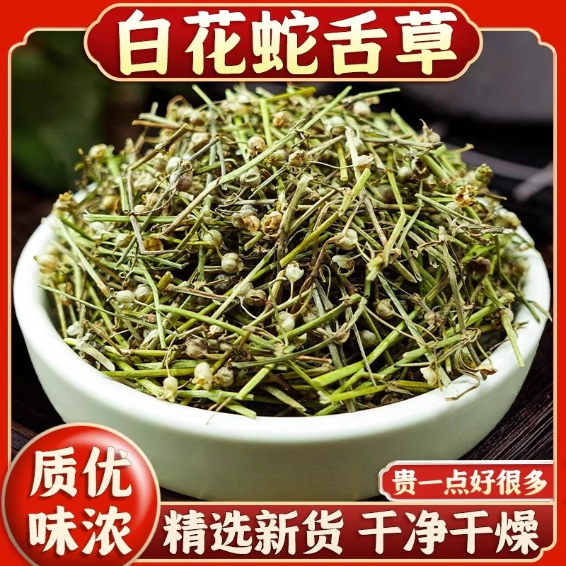 新鲜白花蛇舌草百花蛇舌草干货正品新货半枝莲