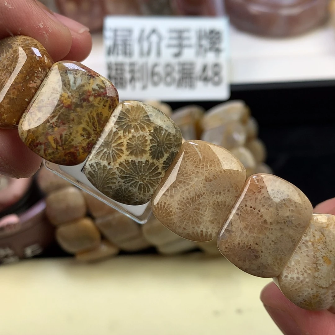 【闪购商品】颈饰未镶嵌硅化珊瑚（珊瑚玉）47号网纹花花
