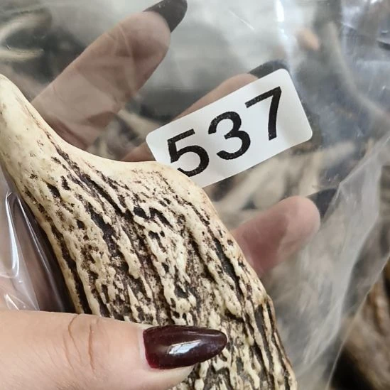 <***>鹿角鹿角鹿角鹿角鹿角鹿角