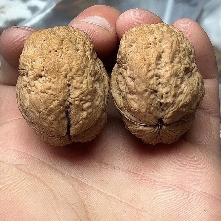 文玩核桃把件28号铁将军饕餮41尺