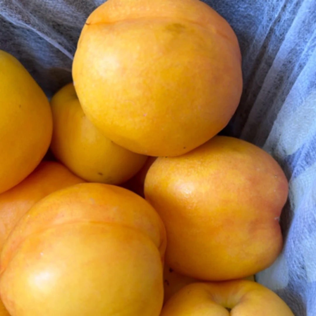 黄桃红桃【备注好】9.9/3斤山东省