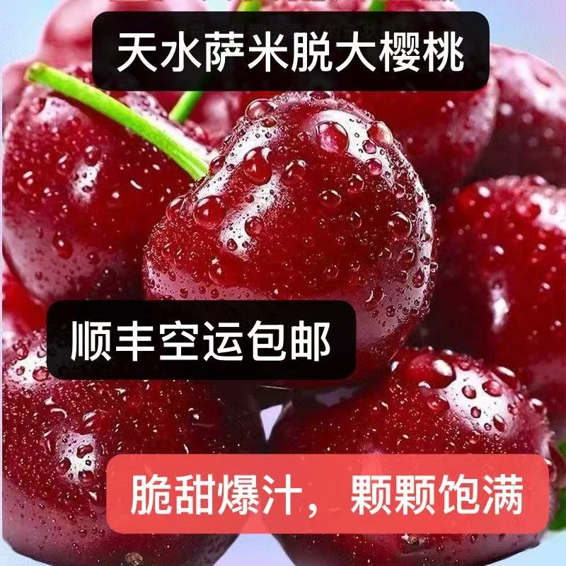 【萨米脱省内】天水大樱桃车厘子萨米脱脆甜爽口现摘头茬露天大果