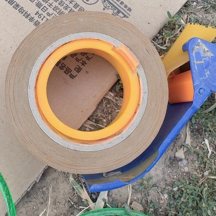 梦**初甜橙，海里仙人掌片