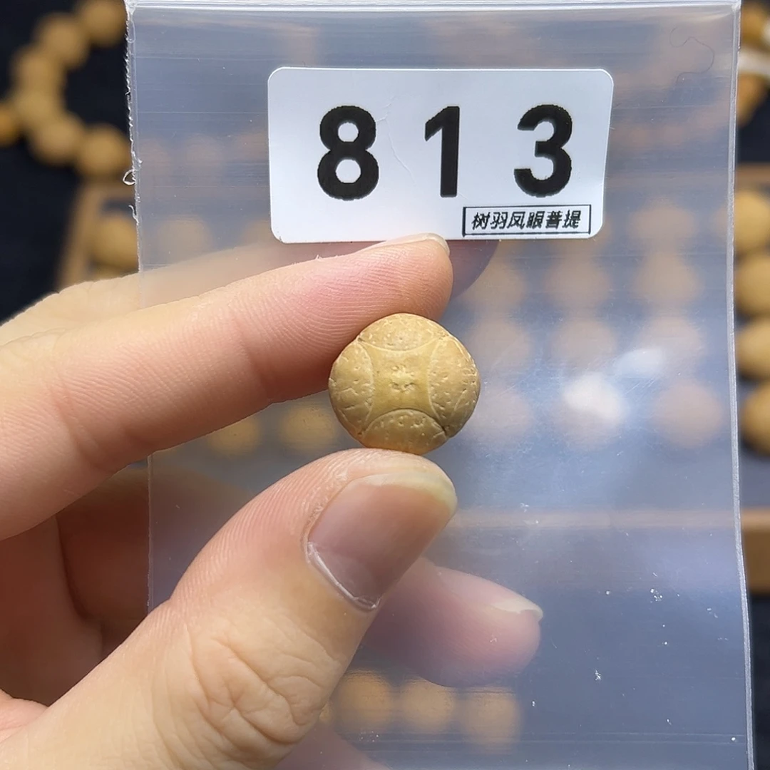 手串凤眼菩提16.8麒麟眼