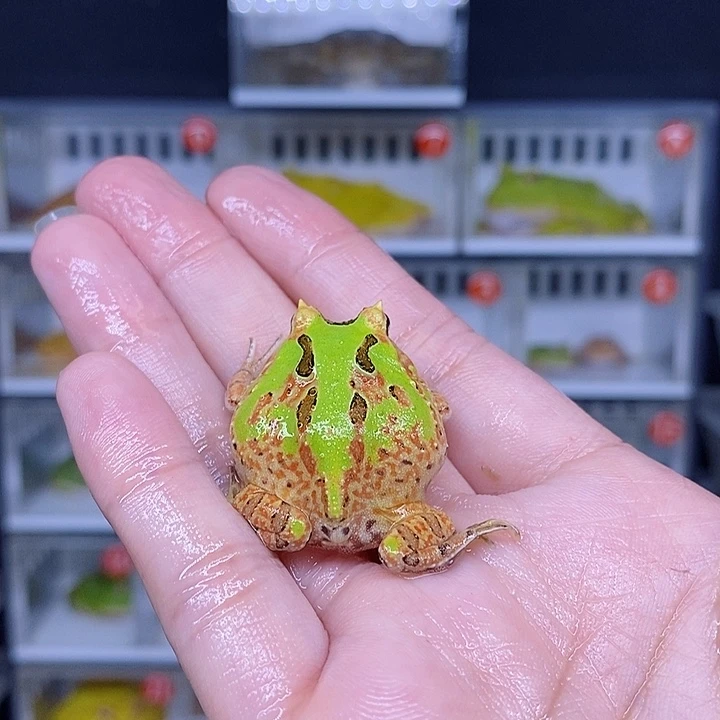 特价秒杀现货特价