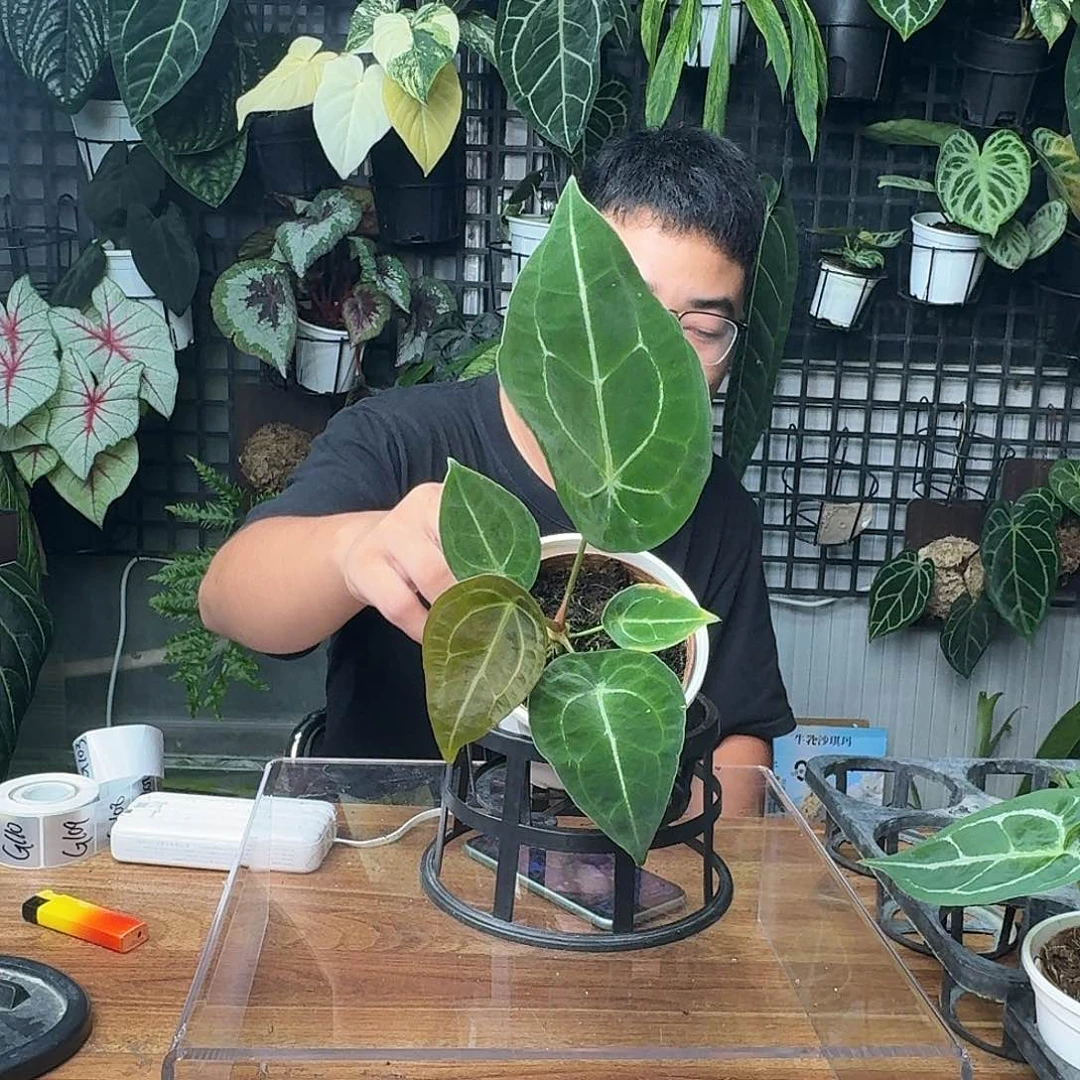 鱼***鸟完全开放一物一拍102号