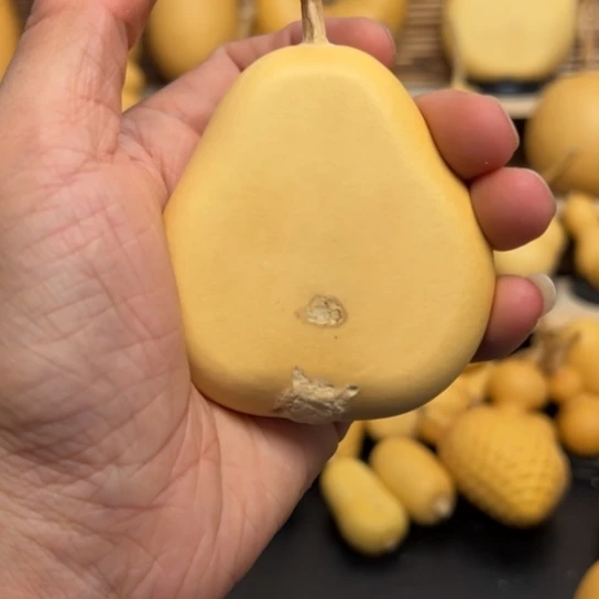 不***字155558558889966