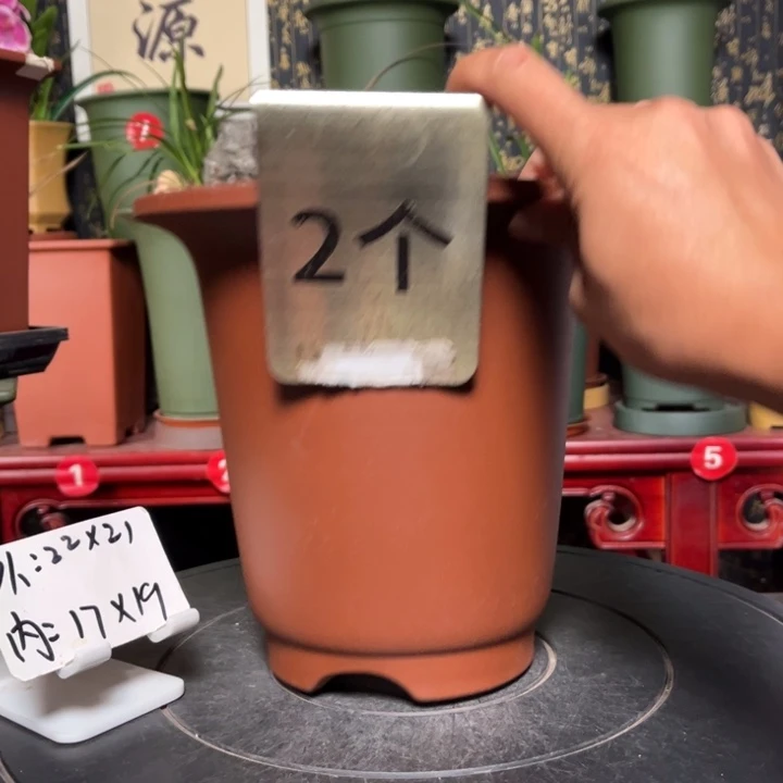 紫砂花盆紫砂花盆