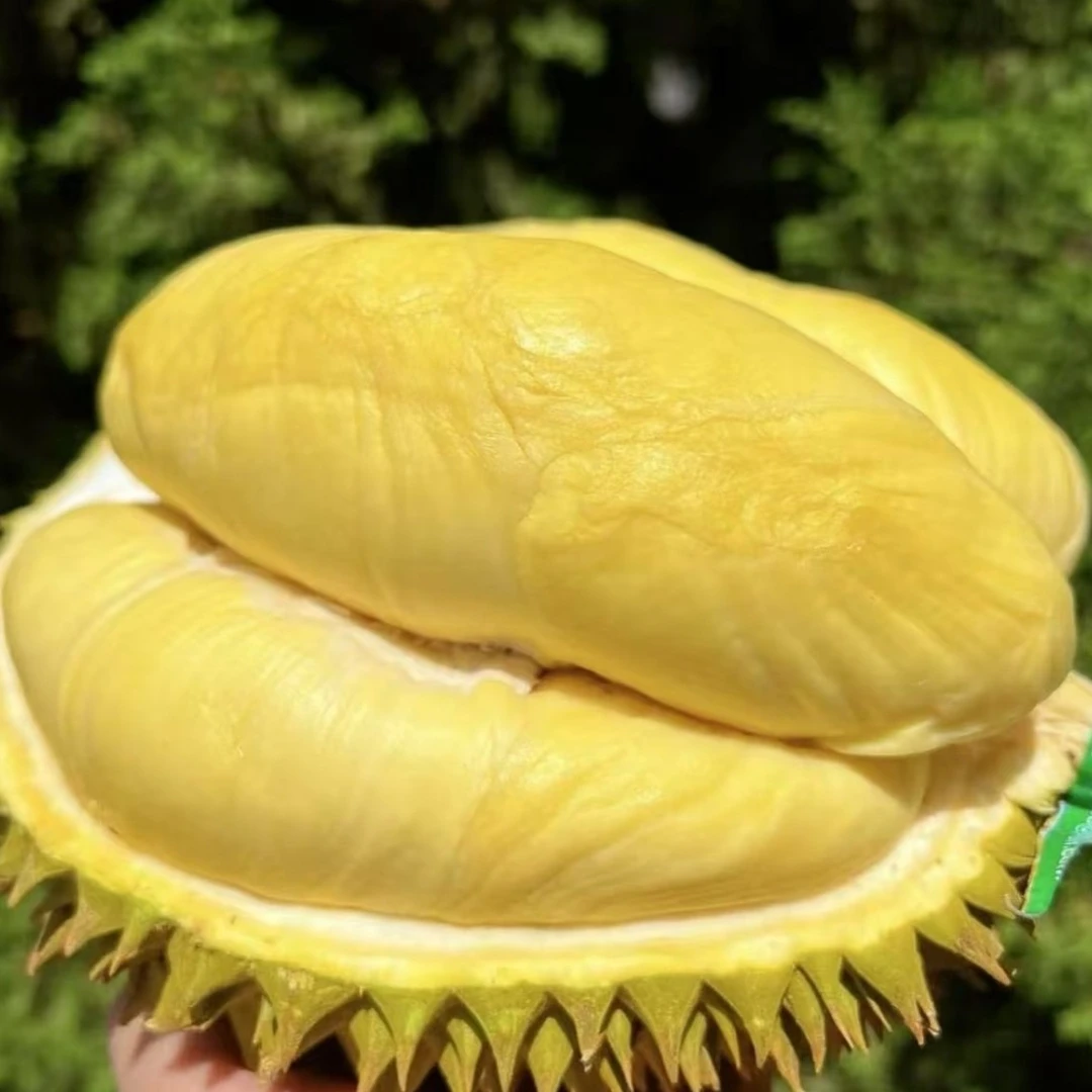 AA级泰国金枕榴莲 鲜榴莲皮薄核小 6斤金枕泰国东部