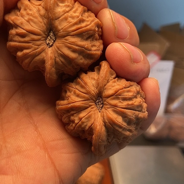 @****把件文玩核桃41/39/33洫麒麟