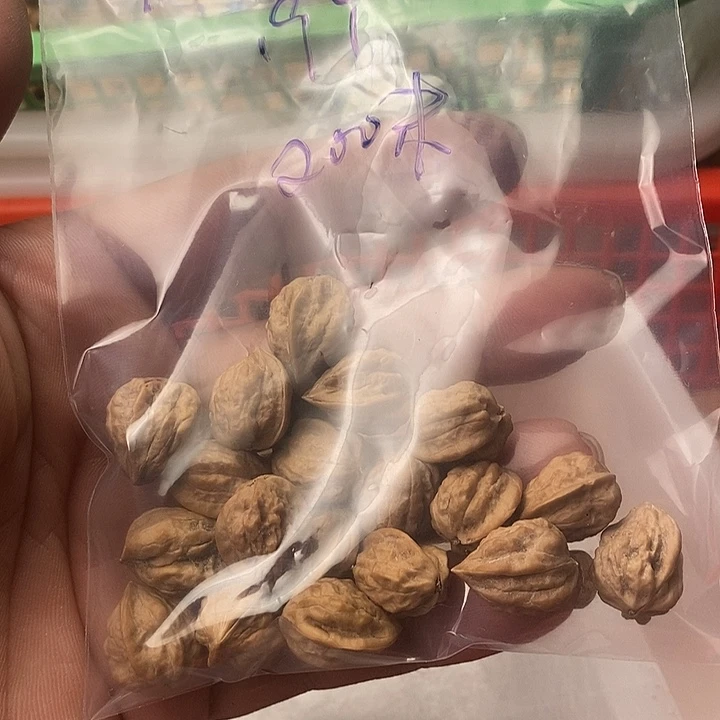 万***情猴头核桃吊坠嵩山蛤蟆