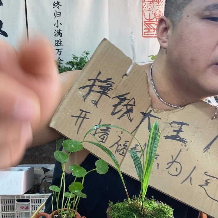 无花朵退款拉黑拉黑15
