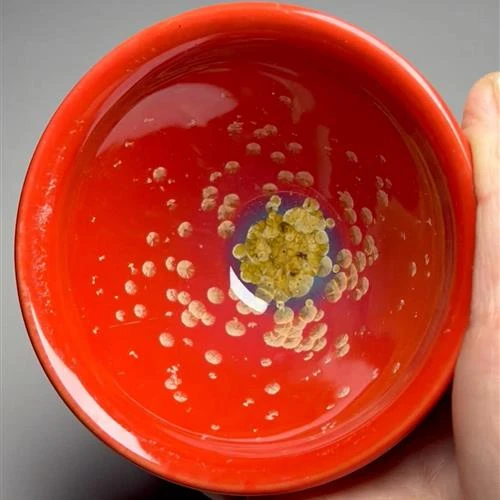 【闪购商品】茶盏-287............