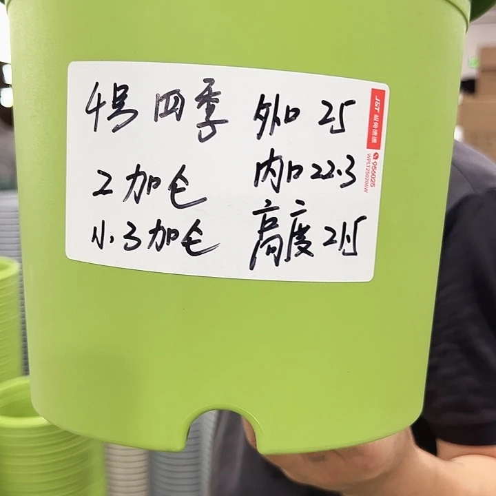 四季4号特价混色10个无托