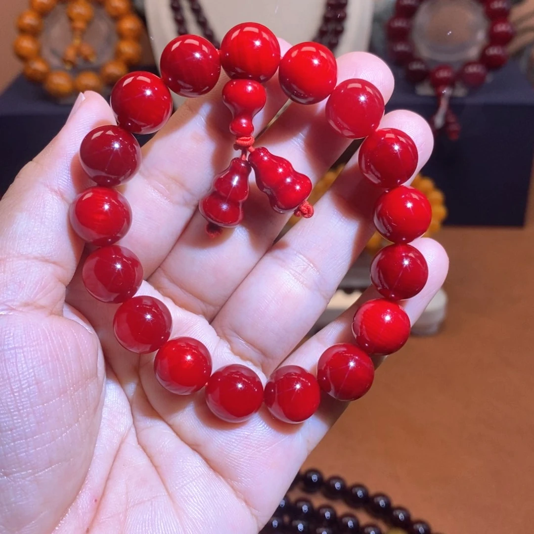 贝壳杉帝王血龙木1.2