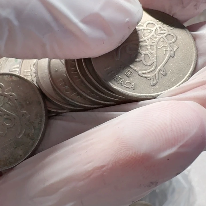 其他普通金属10枚双鱼流通品