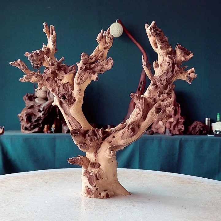 黑果木相*203金丝红木羊蹄甲半成品