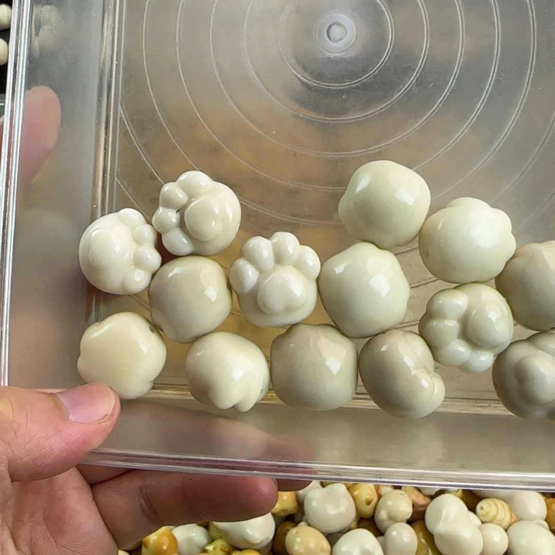 吊坠菩提根/象牙果微瑕疵14颗狗抓（个别面裂）